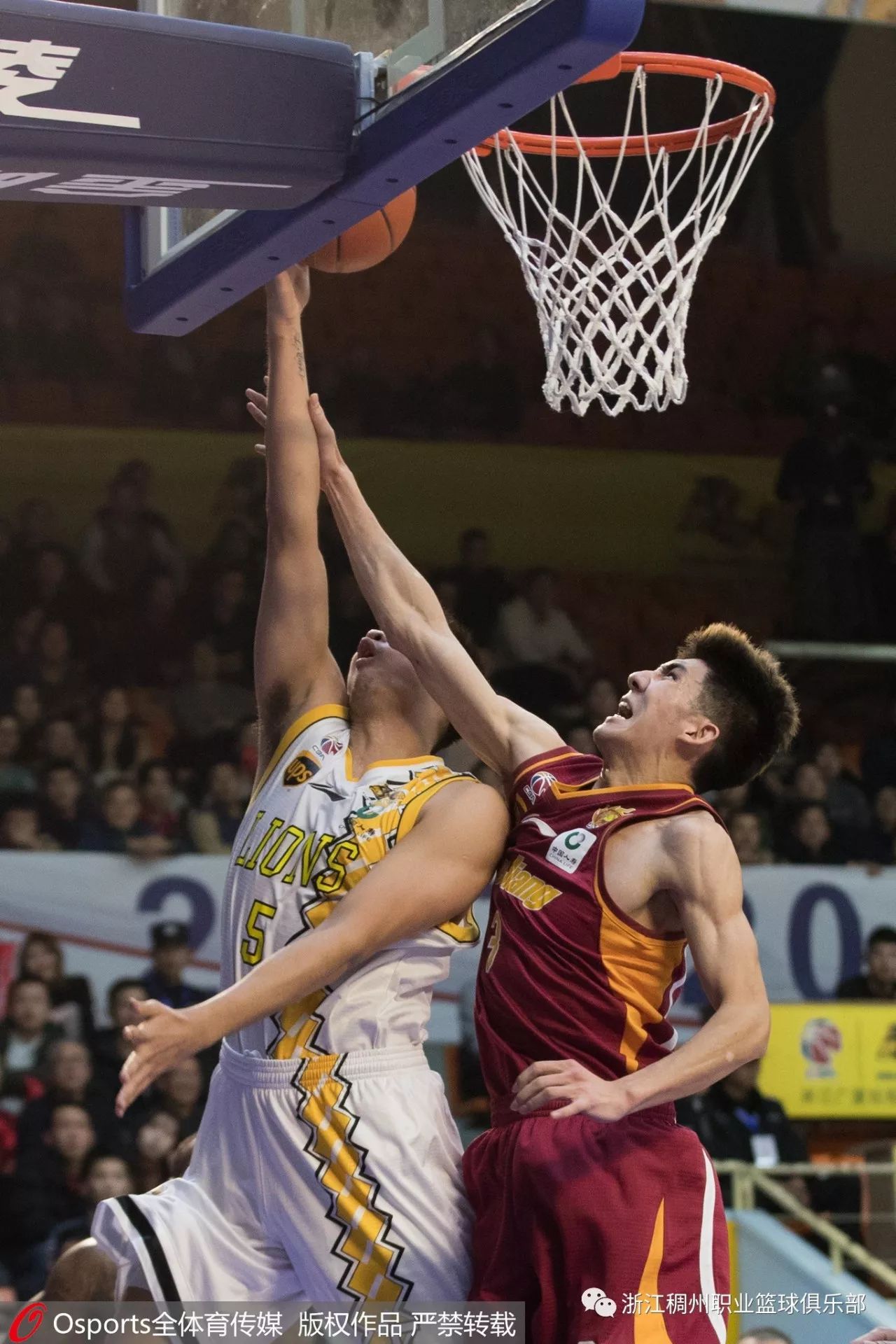 蜂鸟- 欧篮联今夜走向成谜，浙江稠州伤情更新，信心回归，数据趋势出现新变化